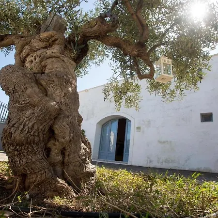 Apartmán Masseria Pittore