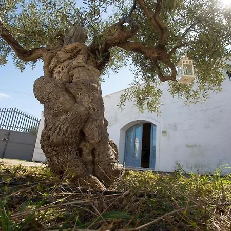 Masseria Pittore Apartment