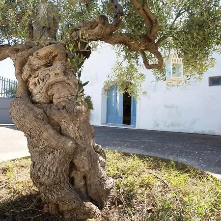 Masseria Pittore Apartmán