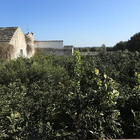 Masseria Pittore