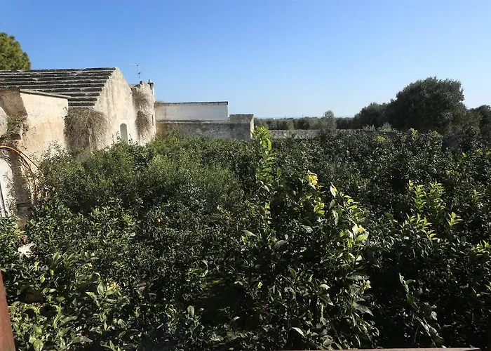 Masseria Pittore