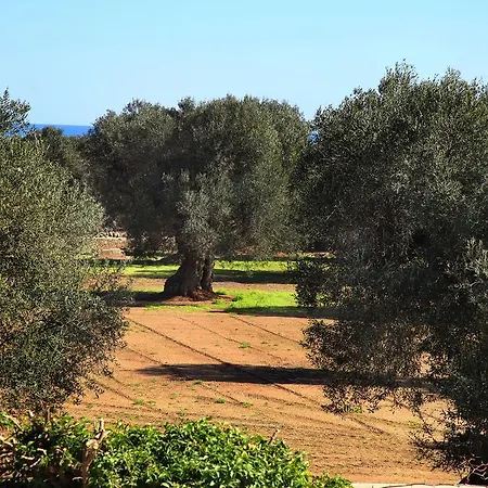 Masseria Pittore Savelletri