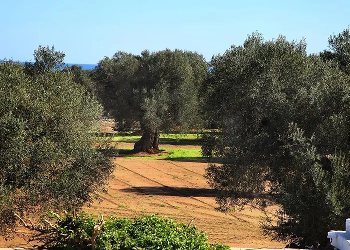 Masseria Pittore Savelletri